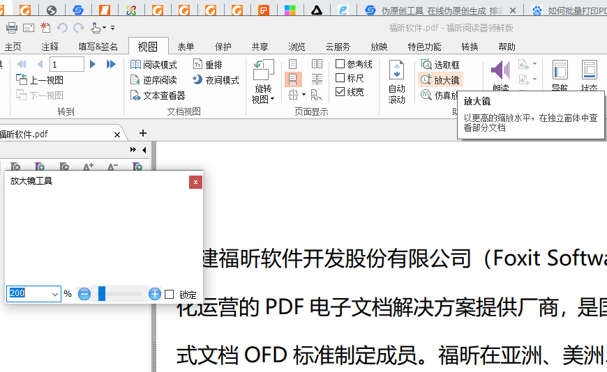PDF文档中的放大镜怎么用