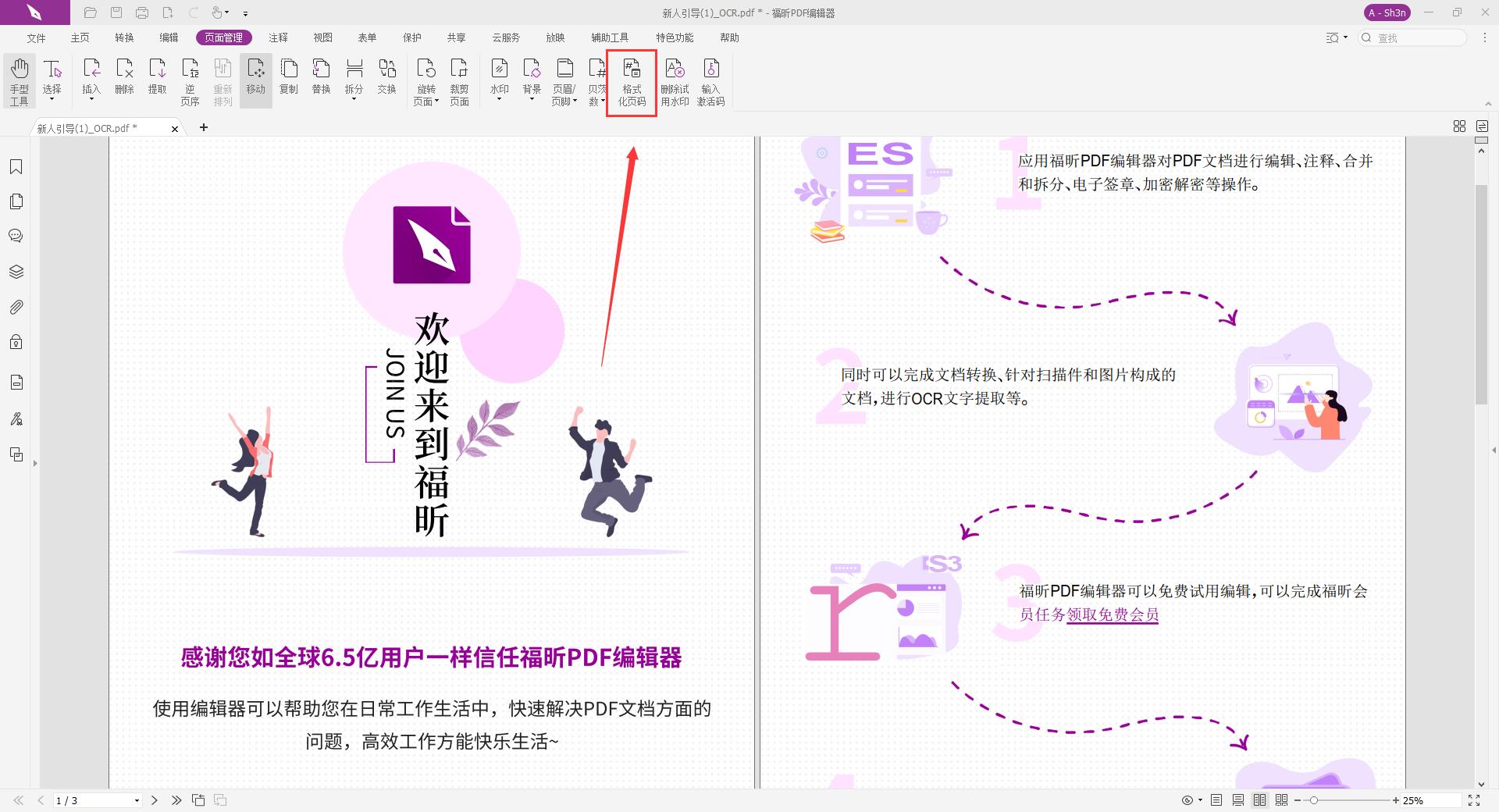 PDF页码格式化