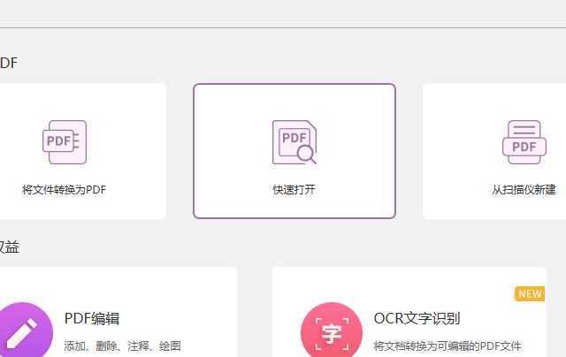 如何强调pdf文字？