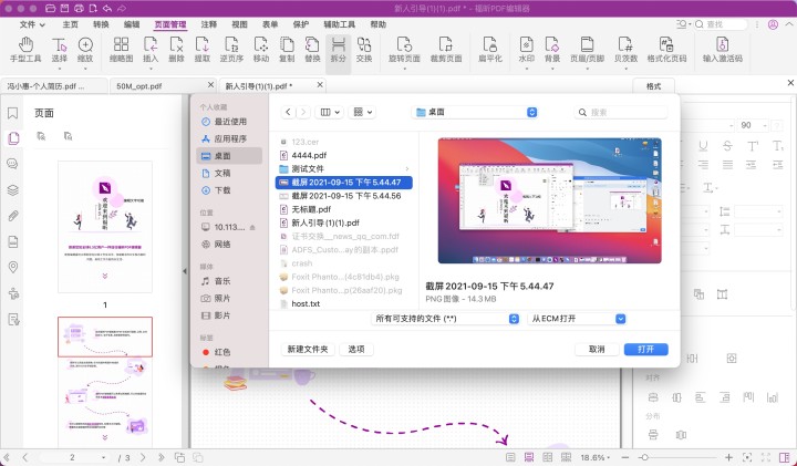 选择pdf文件mac