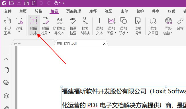 PDF编辑文本