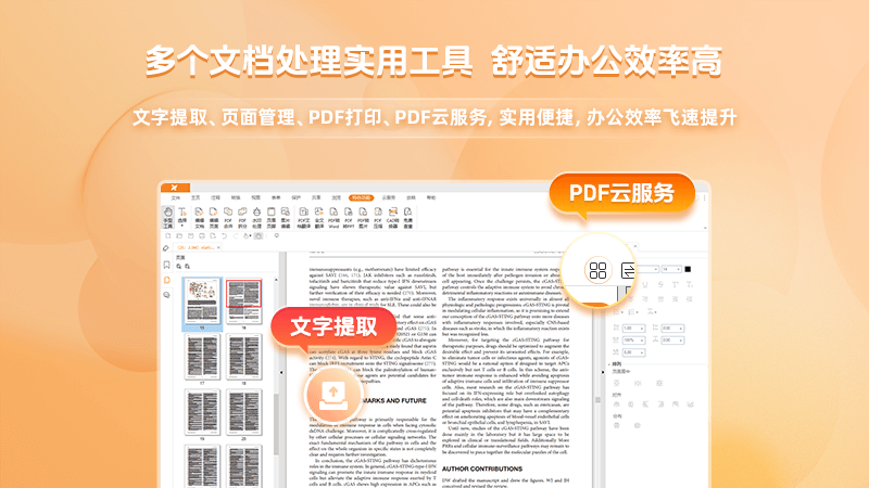 PDF阅读.png