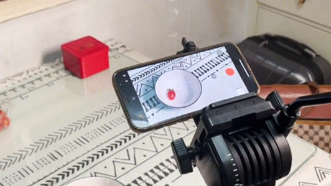 11.gif 美食定格动画详细教程