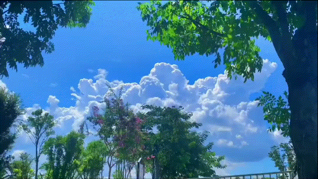 11.gif 曲线变速玩法详细教程