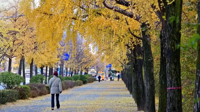 11.gif 蒙版高级玩法详细教程--渐变转场